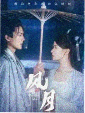 雾港谜案剧集海报